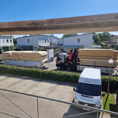 DomiZiel Bus mit Baufahrzeugen die mit Holz beladen sind