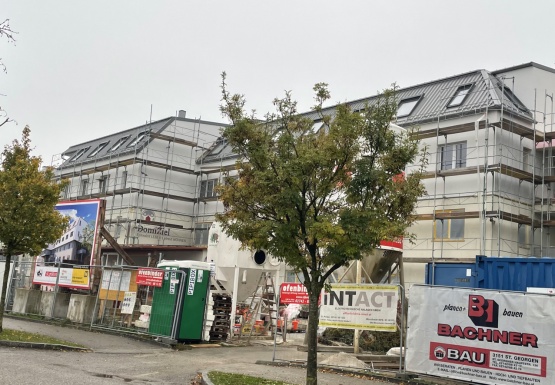 4 stöckiges eingerüstetes Gebäude an dem die Fassade gemacht wird mit Bäumen im Vordergrund