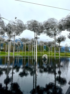 Moderne künstliche Baumlandschaft in grau die sich im Wasser spiegelt und man sieht den Himmel