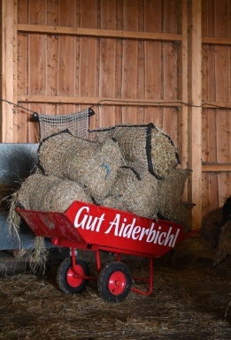 In einer Scheune steht eine rote Scheibtruhe beladen mit Heu und der Aufschrift Gut Aiderbichl