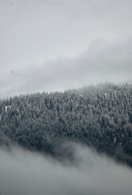 Winterlandschaft Wald