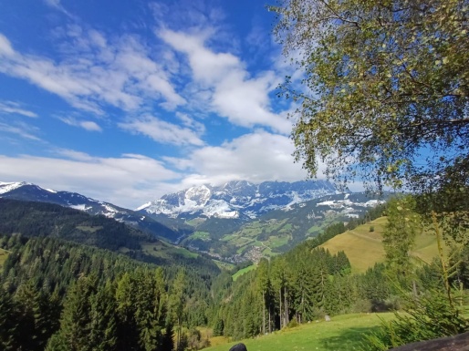 Grüne Wiesen und Bäume blauer Himmel mit ein paar Wolken und in weiter Ferne ein Berg mit Schnee bedeckt
