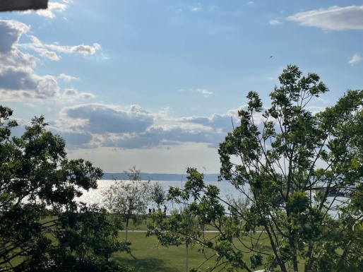 Landschaftsfoto mit Bäumen und dem See