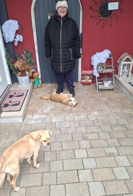 Frau vor Hauseingang mit zwei Hunden