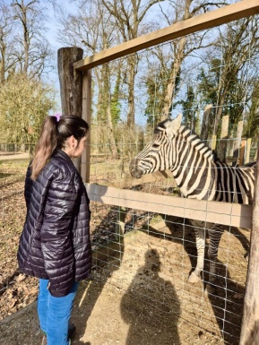 Eine Frau betrachtet ein Zebra im Gehege