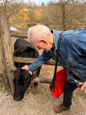 Mann streichelt Tier mit H&ouml;rner