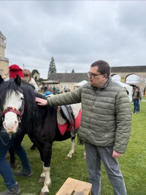 Ein Mann streichelt ein Pony