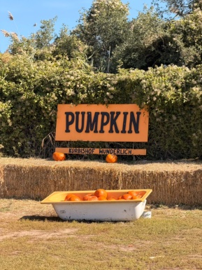Eine Art Badewanne voll mit K&uuml;rbissen vor Strohballen und einem Schild mit der Aufschrift Pumpkin