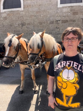2 Pferde und eine Frau mit Brille