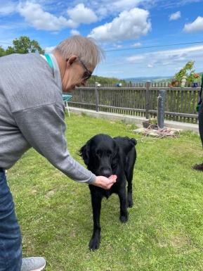 Mann steht mit Hund im Garten und füttert ihn