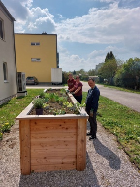 Zwei M&auml;nner und eine Frau beim Hochbeet bepflanzen