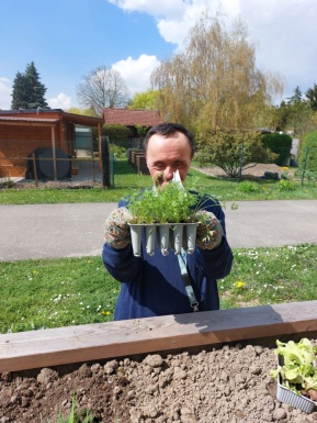 Mann h&auml;lt eine gr&uuml;ne Pflanze vor einem Hochbeet hoch