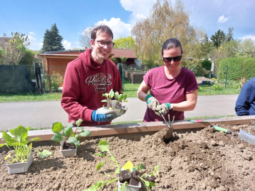 Mann und Frau beim Hochbeet bepflanzen