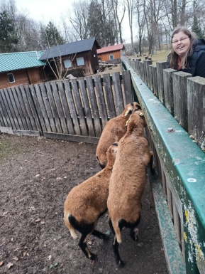 Frau mit Ziegen